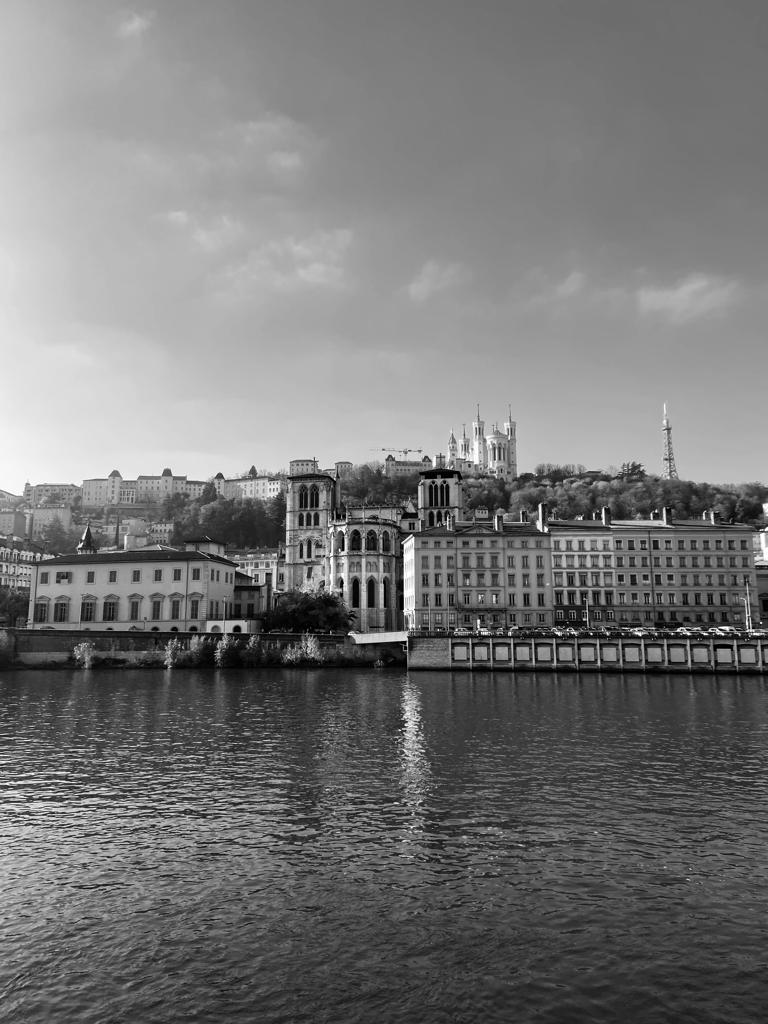 Why do we use silk from the French city of Lyon ?