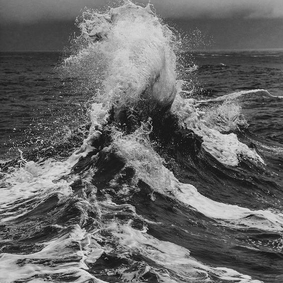 sea pollution, ghost fishing, ocean pollution, climate change, healthy seas